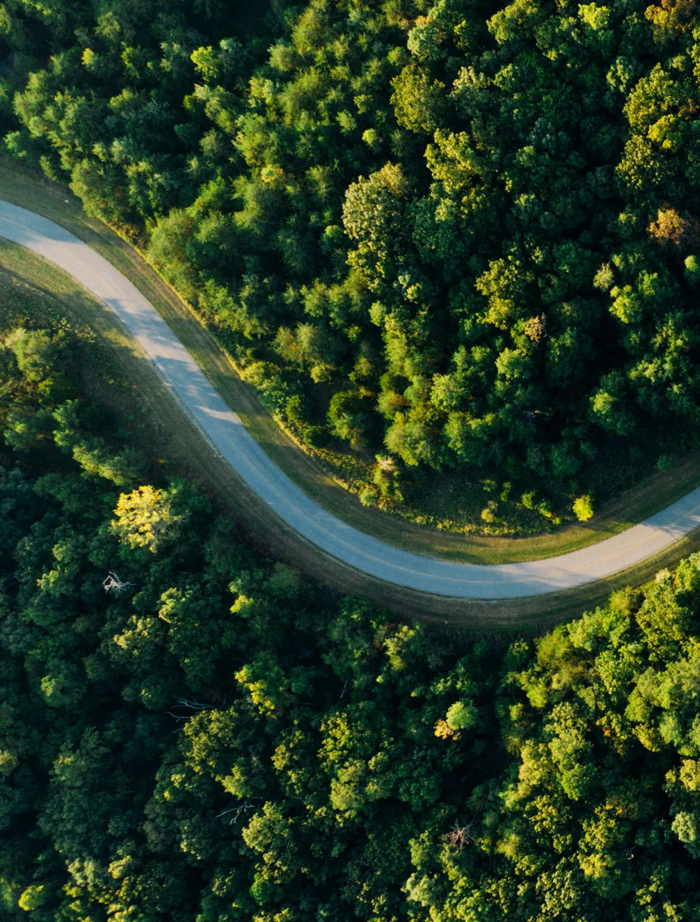 EN CENTRAL DEL I det dagliga arbetet